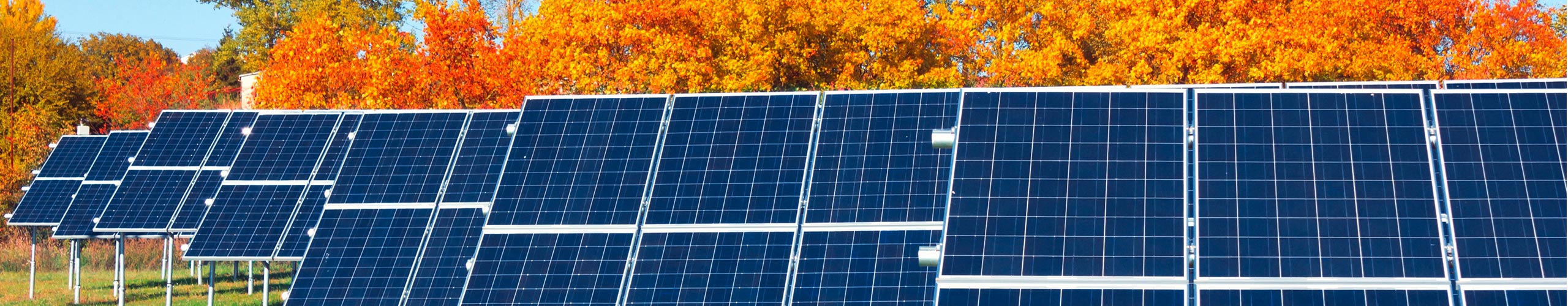 Datenschutz / Analysedienste - Energieagentur Neckar-Odenwald-Kreis